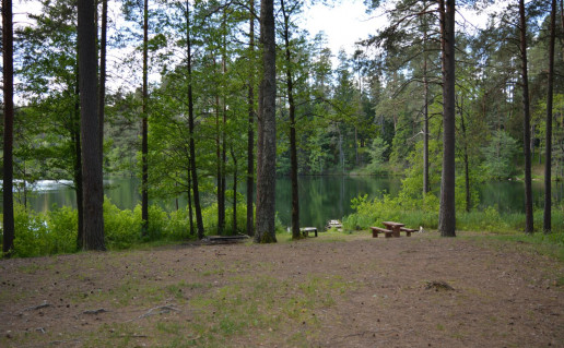 39_Leikštinio III stovyklavietė (2).jpg